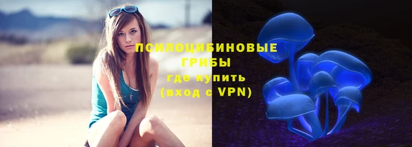 мяу мяу мука Балабаново