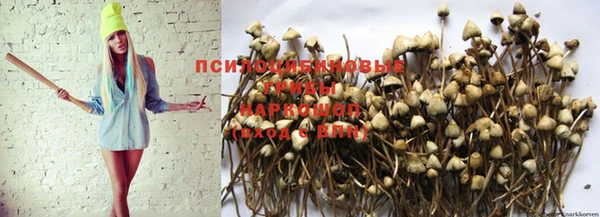 мяу мяу мука Балабаново